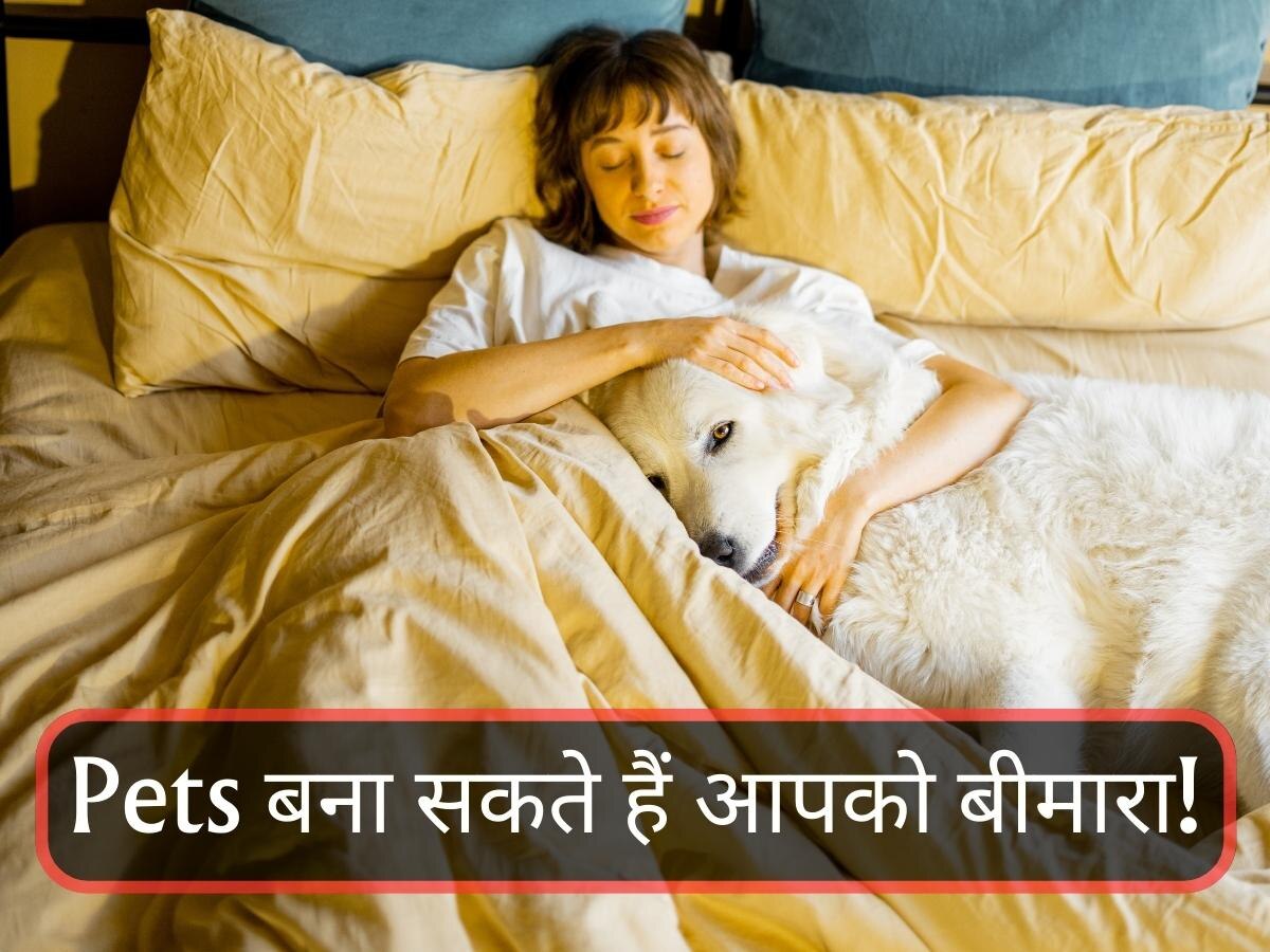 Pets के साथ सोते हैं तो तुरंत हो जाएं सावधान, आपके शरीर में घुस जाएगा ये जानलेवा बैक्टीरिया!