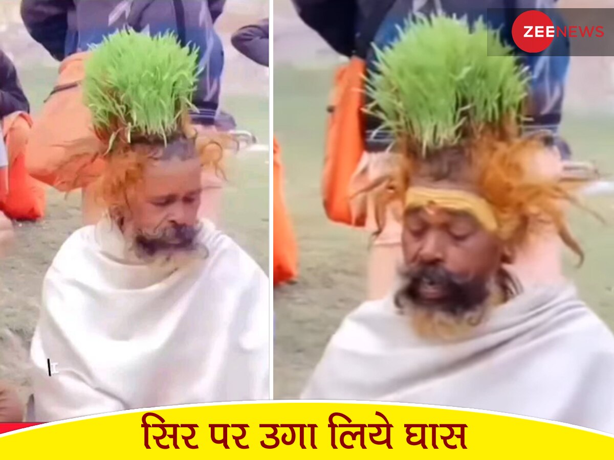 बाबा ने सिर को बना डाला 'गमला'! उगाए इतने सारे पौधे, सोने के लिए करते हैं ऐसा; Video वायरल