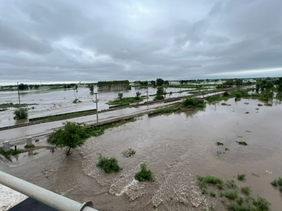 पंजाब के 19 जिले भयानक बाढ़ की चपेट में, 41 लोगों की हुई मौत