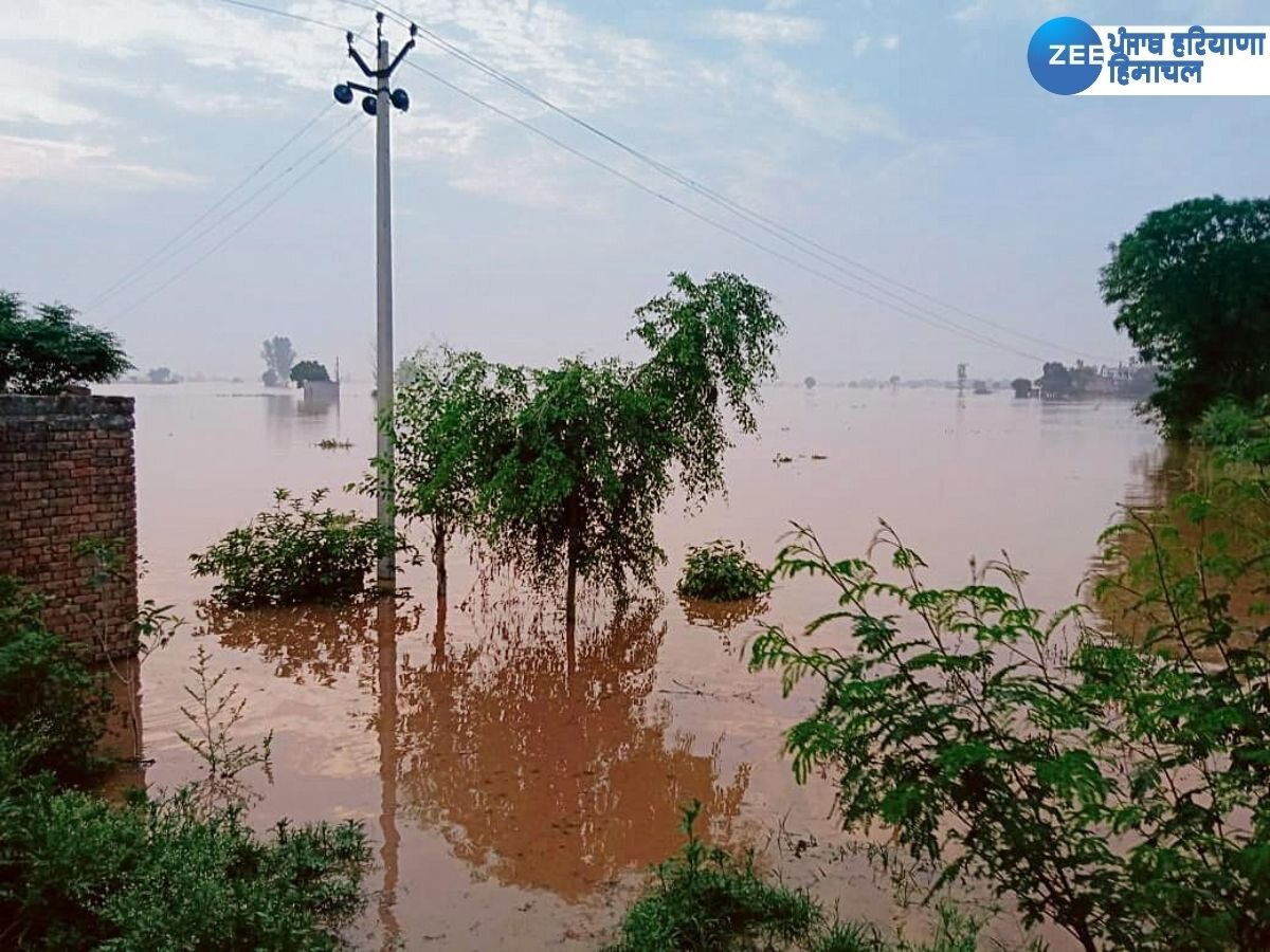 Punjab Flood News: ਪੰਜਾਬ 'ਚ ਕੁਦਰਤੀ ਤਬਾਹੀ! ਹੜ੍ਹ ਪ੍ਰਭਾਵਿਤ ਪਿੰਡਾਂ ਦਾ ਅੰਕੜਾ ਕਰ ਦੇਵੇਗਾ ਹੈਰਾਨ, ਜਾਣੋ ਪੂਰਾ ਅੱਪਡੇਟ
