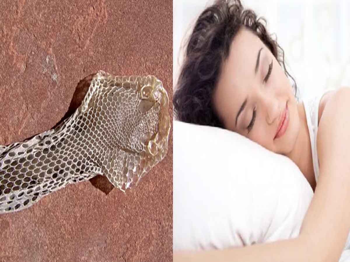 Snake Skin in Dream: सावन में सांप की केंचुली को सपने में देखने का क्या है मतलब? जानिए 