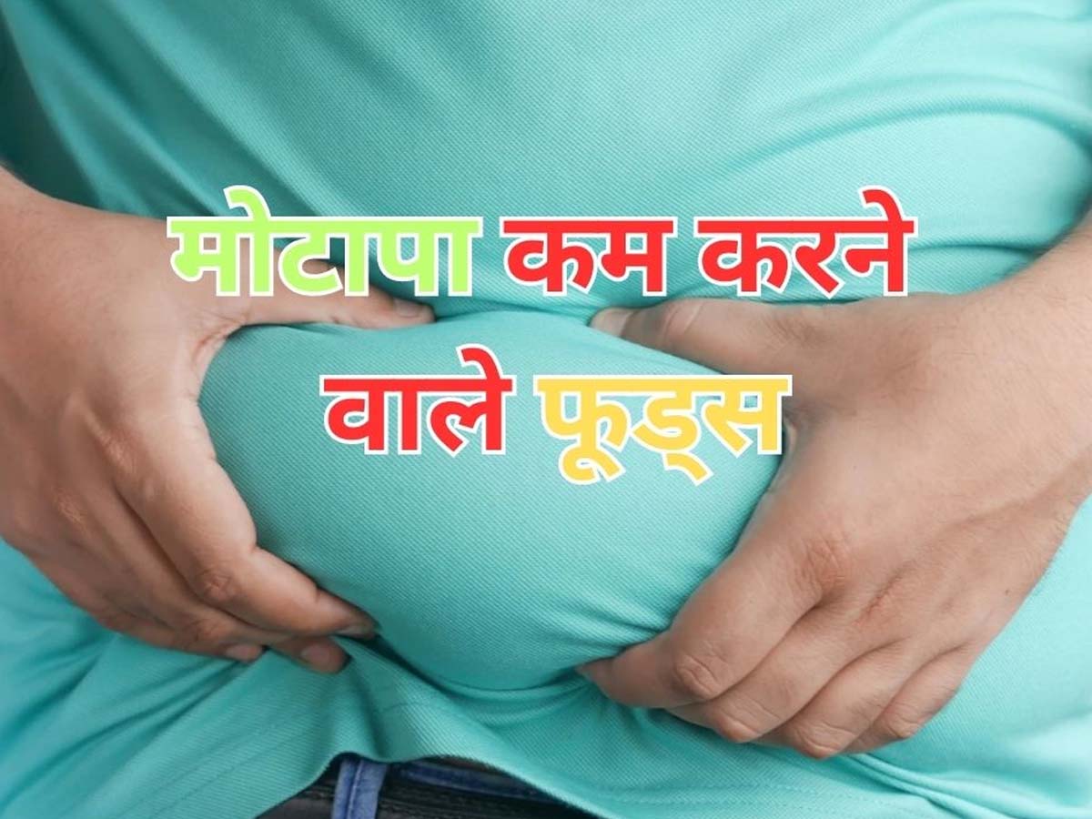 Weight Loss Foods: डिनर में शुरू कर दें इन 3 चीजों का सेवन, बर्फ की तरह पिघलने लग जाएगी पेट की चर्बी; सब पूछेंगे सीक्रेट Weight Loss Foods: डिनर में शुरू कर दें इन 3 चीजों का सेवन, बर्फ की तरह पिघलने लग जाएगी पेट की चर्बी; सब पूछेंगे सीक्रेट