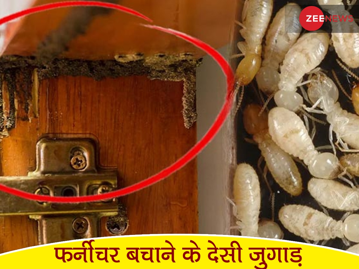 Desi Jugaad: इस देसी जुगाड़ से घर में रखे फर्नीचर बारिश में नहीं होंगे खराब, अपनानी होगी ये ट्रिक