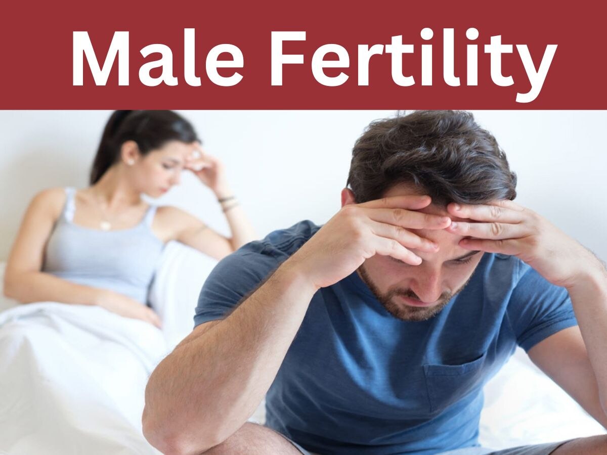 Male Fertility: इस सब्जी की मदद से पुरुषों की 'कमजोरी' होती है दूर, 'ताकत' में होता है जबरदस्त इजाफा