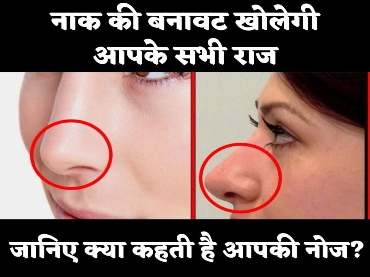 Nose Shape Reveals: नाक की बनावट खोल देती है किसी की पर्सनेलिटी के राज, आप भी देखकर पता लगाएं