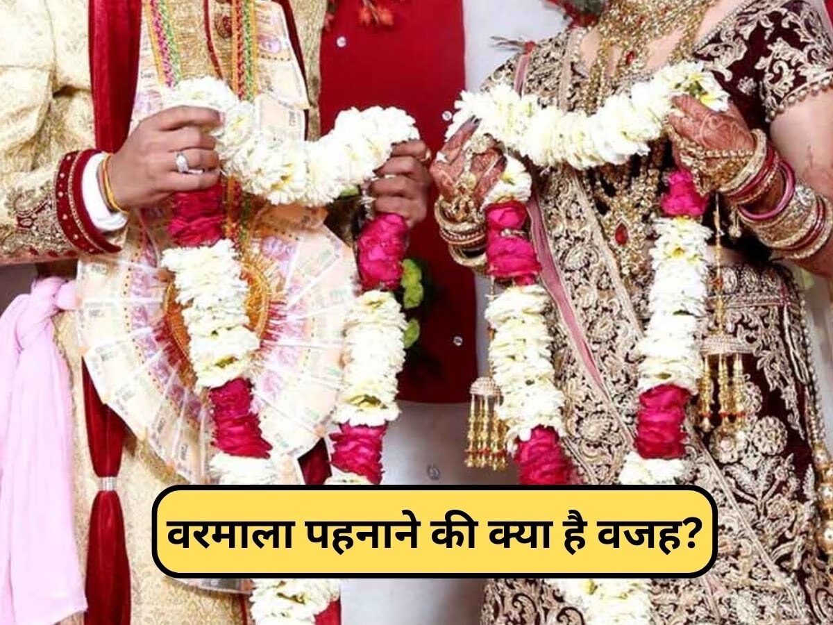 Hindu Wedding Rituals: आखिर क्यों वर-वधू एक-दूसरे को पहनाते हैं जयमाला, क्या आप जानते हैं इस रस्म के पीछे की वजह 