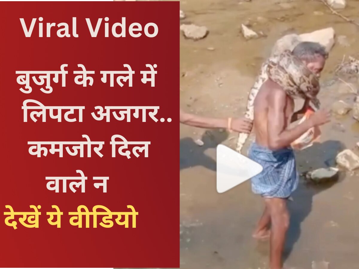 Snake Viral Video: कमजोर दिल वाले न देखें ये वीडियो, विशालकाय अजगर ने बुजुर्ग के गले में डाला फंदा. फिर...