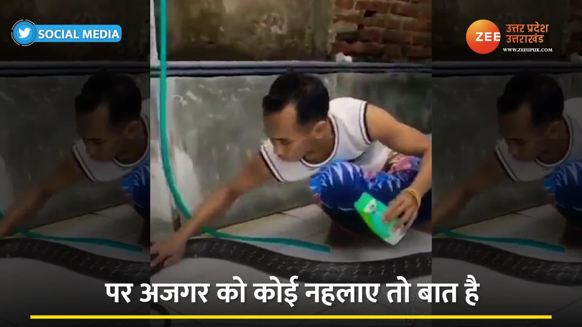 Python rubbed with shampoo and bathed Watch giant Ajgar ka video viral ...