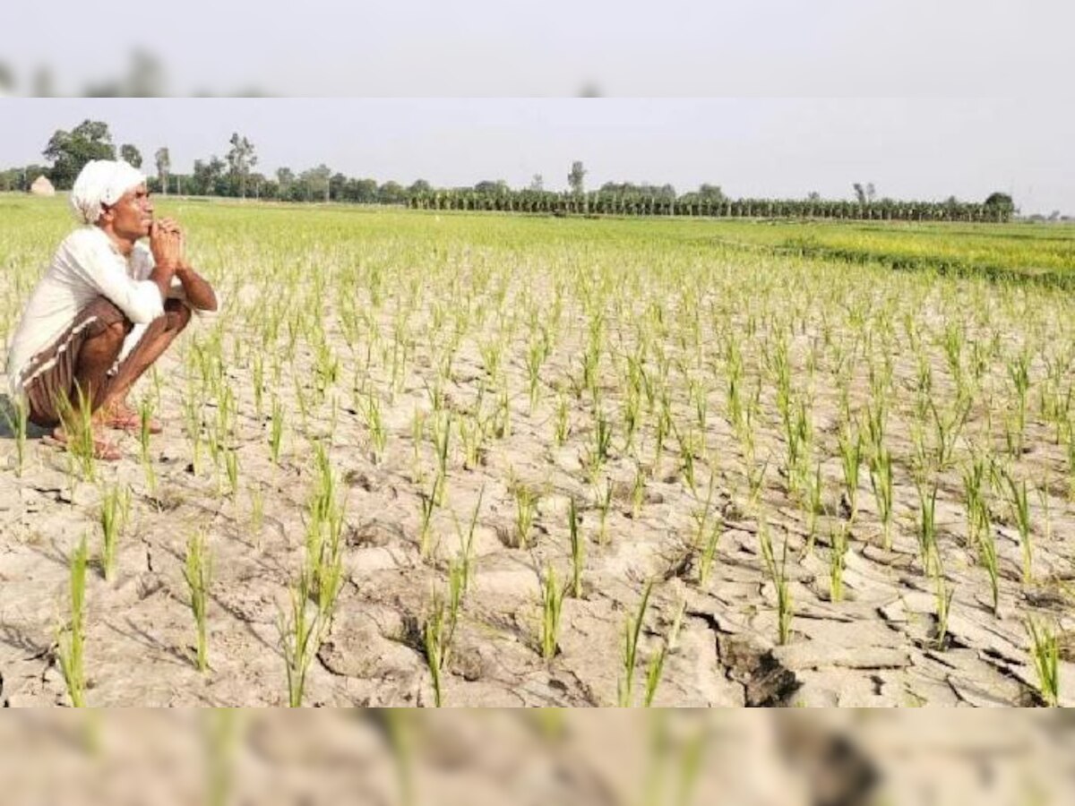 UP Drought: वेस्ट यूपी में बाढ़ का कहर तो पूर्वांचल और बुंदेलखंड में सूखे की मार, जानिए किन जिलों में क्या हैं हालात