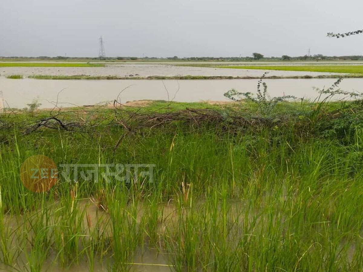 जयपुर: बीसलपुर का एक दिन में बर्बाद हो रहा 40 लाख लीटर पानी, जानिए क्या है वजह