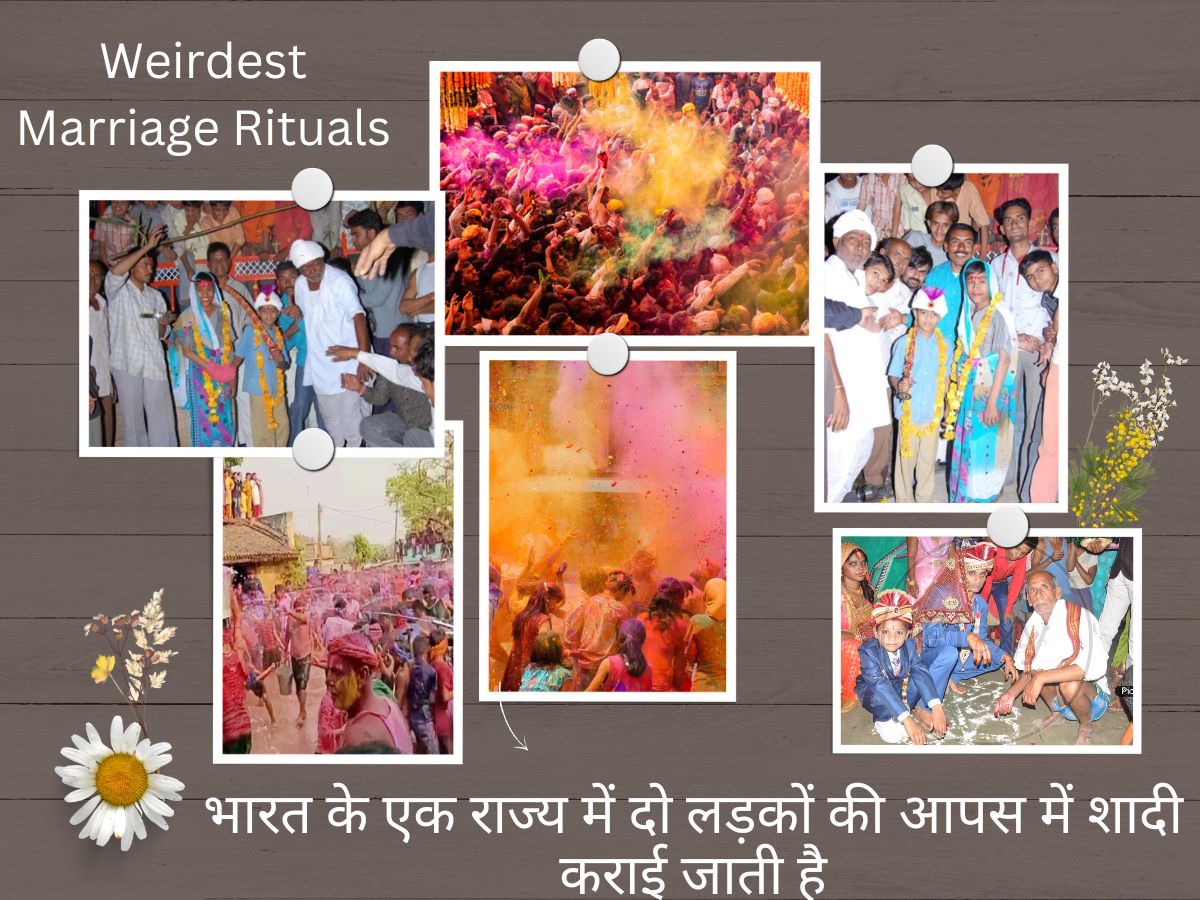 GK: भारत में है ऐसी जगह जहां लड़के की लड़के से कराई जाती है शादी, जानिए इस अनोखी परंपरा के बारे में GK: भारत में है ऐसी जगह जहां लड़के की लड़के से कराई जाती है शादी, जानिए इस अनोखी परंपरा के बारे में