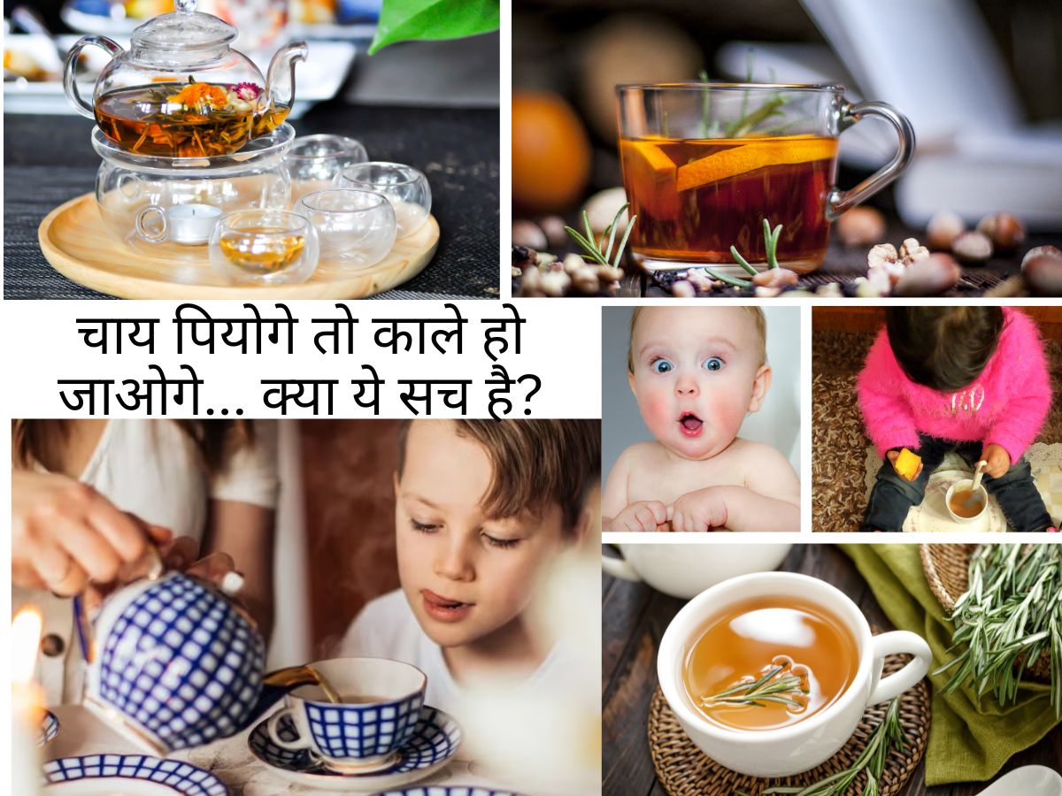 GK: बचपन में चाय पीने से रोका जाता है, क्या सच में इससे कोई काला होता है? जानें क्या कहता है साइंस GK: बचपन में चाय पीने से रोका जाता है, क्या सच में इससे कोई काला होता है? जानें क्या कहता है साइंस