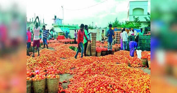 Online Tomato Order: ଏହି ସରକାରୀ ଆପ୍ ଅଧା ମୂଲ୍ୟରେ ମିଳୁଛି ଟମାଟୋ! ଜାଣନ୍ତୁ ...