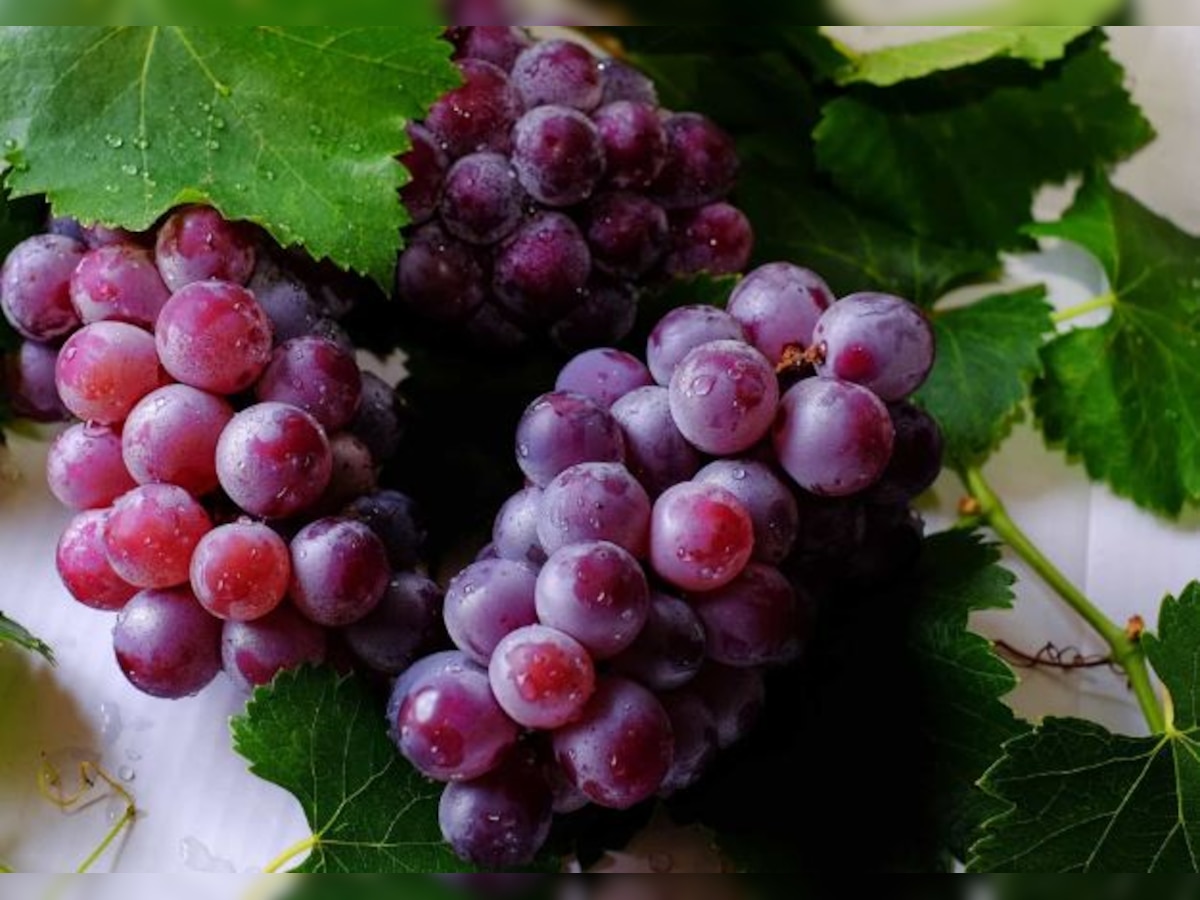 Red Grapes Heath Benefits: विटामिन से लबालब भरे होते हैं लाल अंगूर, हरे और काले अंगूर से 10 गुना बेहतर