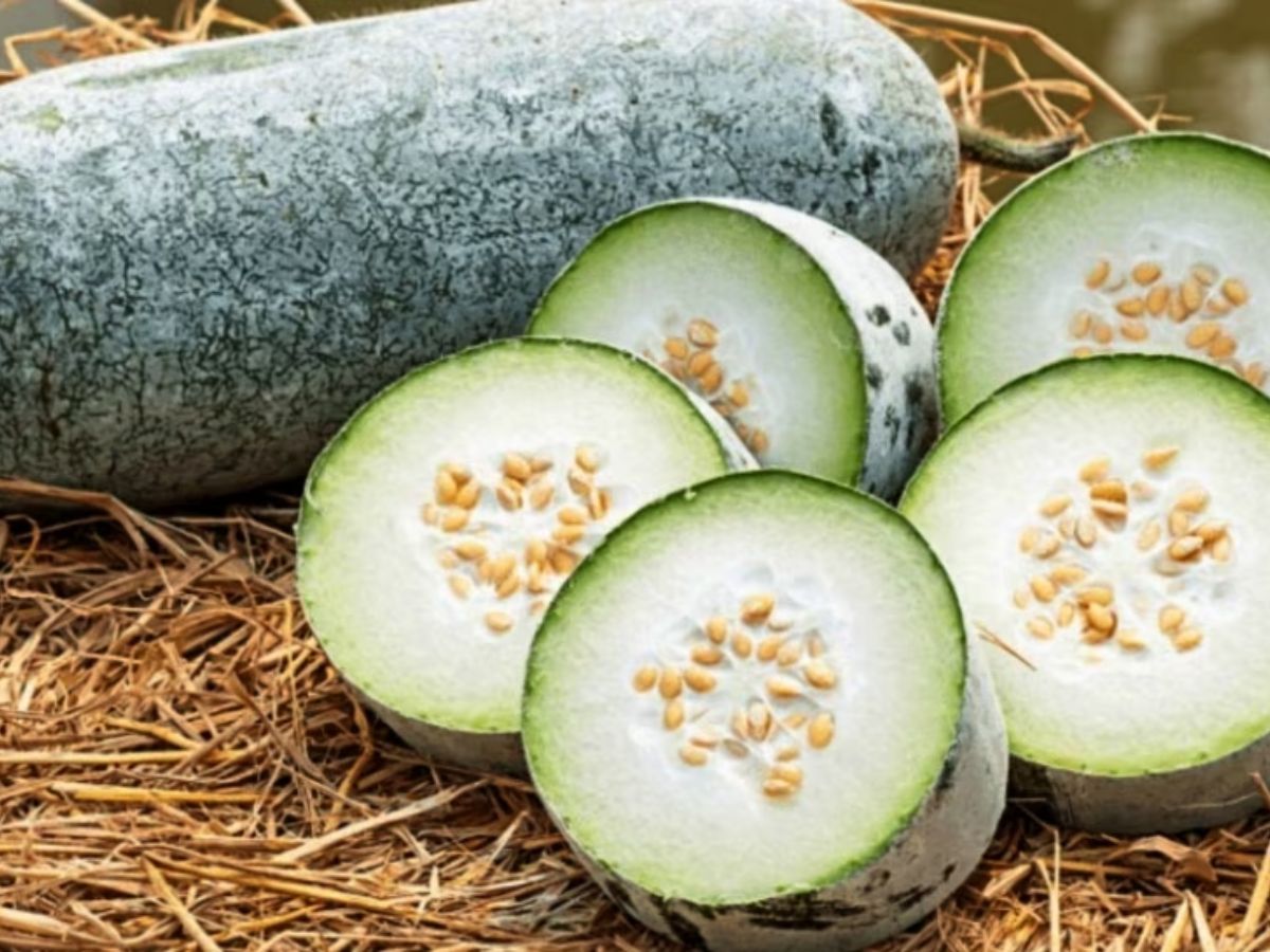 Ash Gourd Juice Health Benefits reduce weight and control Diabetes