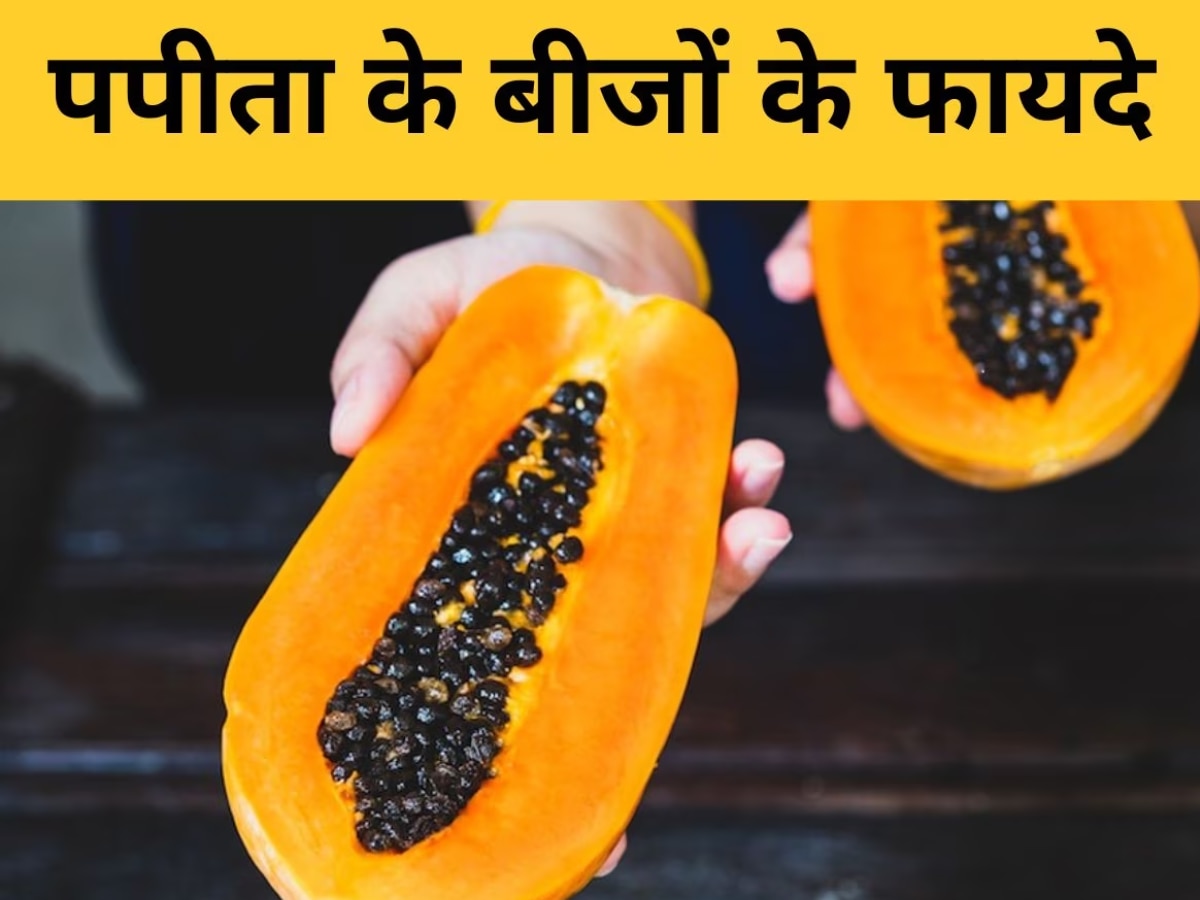 Papaya Seeds Benefits: बालों से लेकर वेटलॉस तक, सेहत के लिए खजाना हैं पपीते के बीज, फायदे जान कभी नहीं फेकेंगे