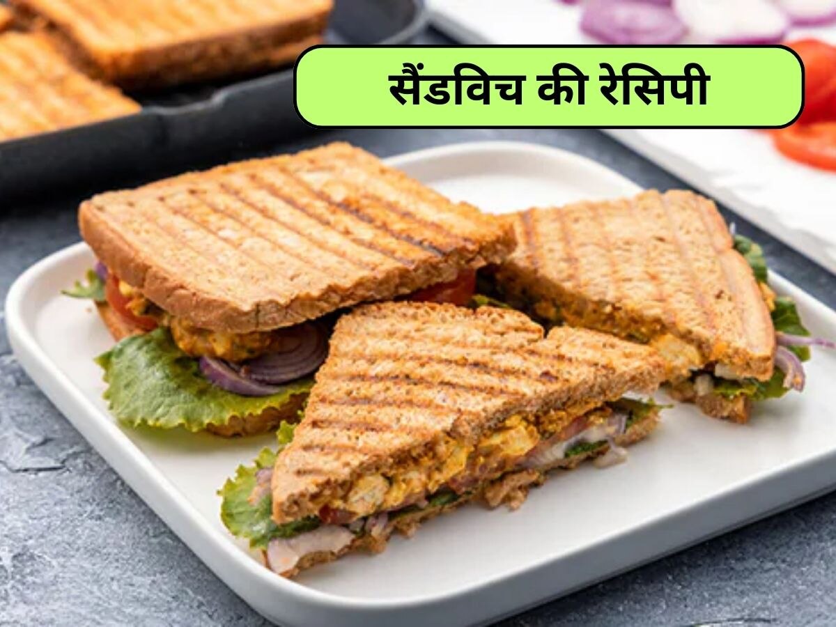 Breakfast में झट से बनाने वाली डिश है सैंडविच, जानें इसकी रेसिपी 