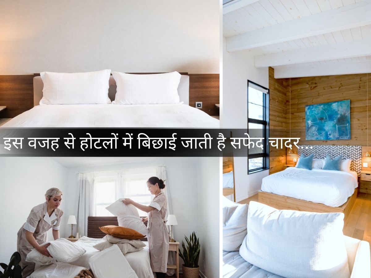 GK Amazing Facts about Hotel Facilities why white sheet use in train