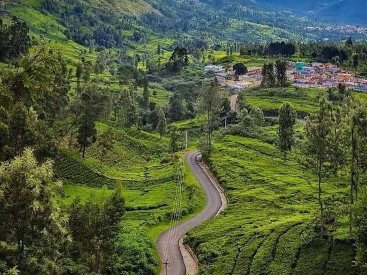 Hill Station in Bihar: बना रहे हैं हिल स्टेशन घूमने का प्लान, देखें बिहार की इन खूबसूरत पहाड़ियों को