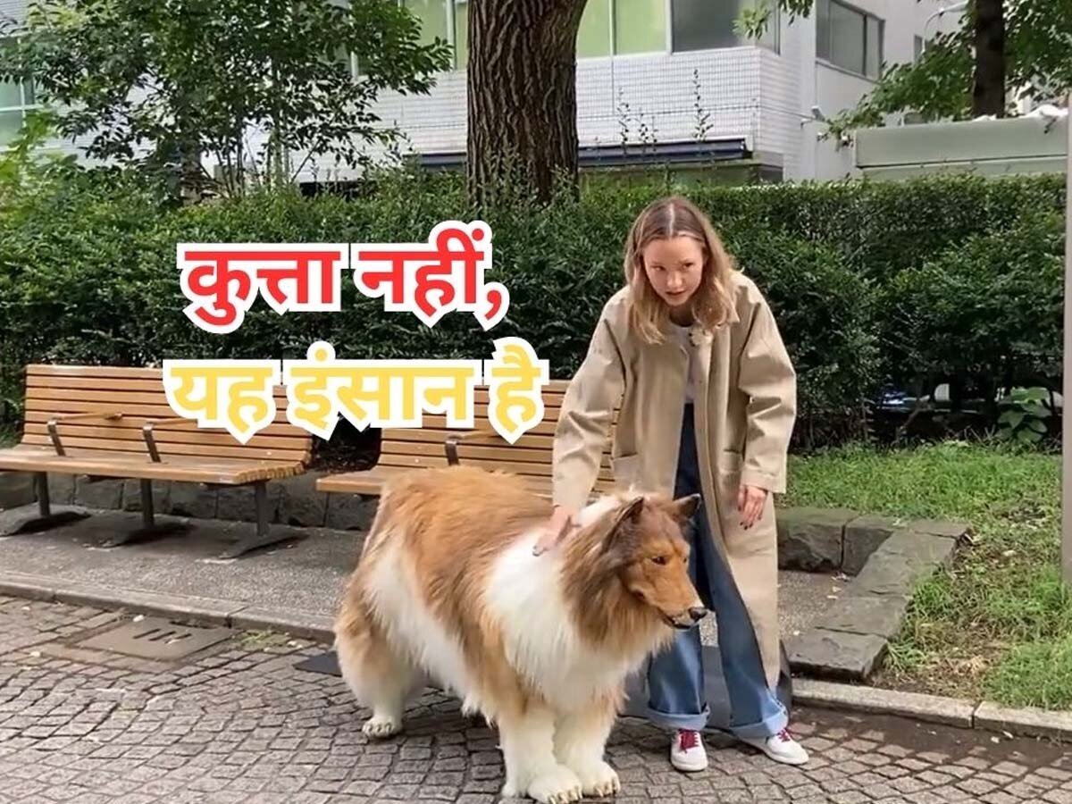 Doggy Man: OMG! 12 लाख रुपये खर्च करके यह इंसान क्यों बन गया डॉगी? पार्क में घूमते देख भाग खड़े होते हैं दूसरे कुत्ते