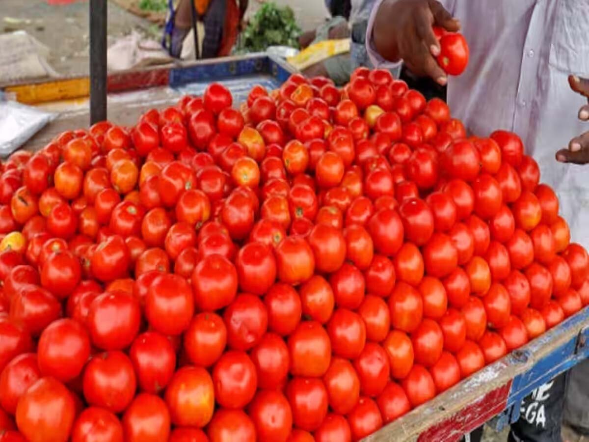 Tomato Price: अगर खरीदना चाहते हैं सस्ते में टमाटर, घर बैठे करें ये काम