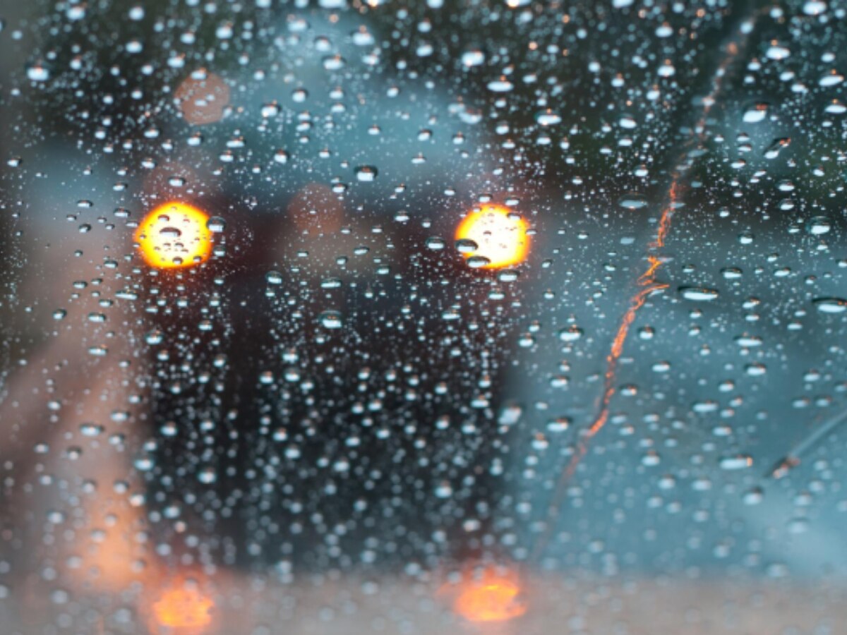 should you use hazard lights while driving in rain or not । बारिश में