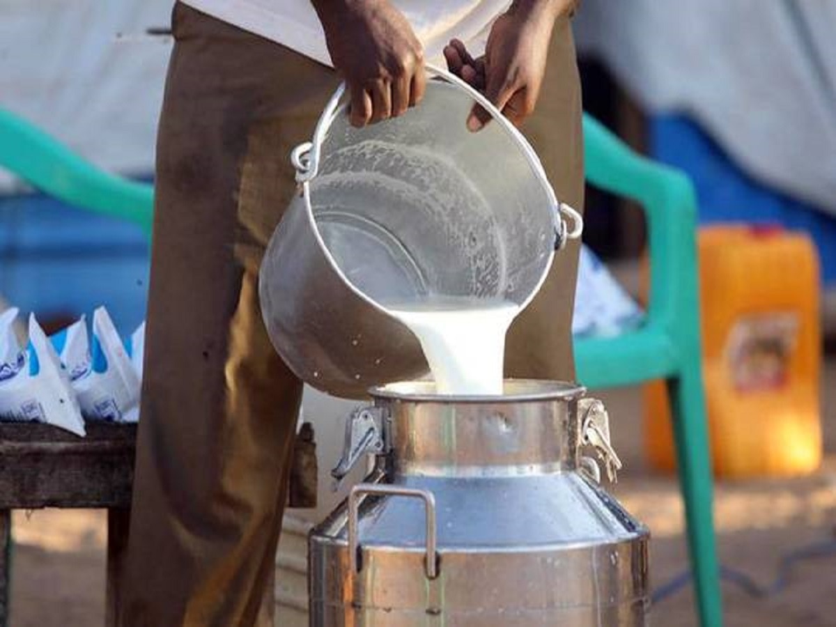 Milk Price: आम जनता के लिए आ गई अच्छी खबर, सस्ता होगा दूध, केंद्र सरकार ने दिया तोहफा!