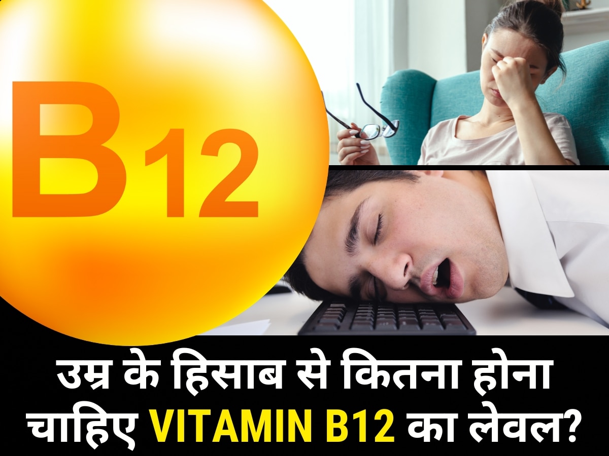 Vitamin B12 Level: उम्र के हिसाब से कितना होना चाहिए आपका विटामिन बी12 लेवल, ये शाकाहारी फूड B12 से होते हैं भरपूर