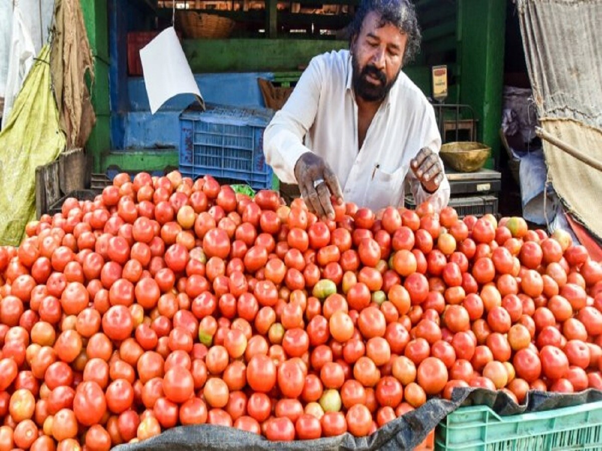 Tomato Price: सस्ता टमाटर बेचने में फेल हुई सरकार! फिर आसमान छू रही हैं कीमतें, मदर डेयरी पर 259 रुपये 