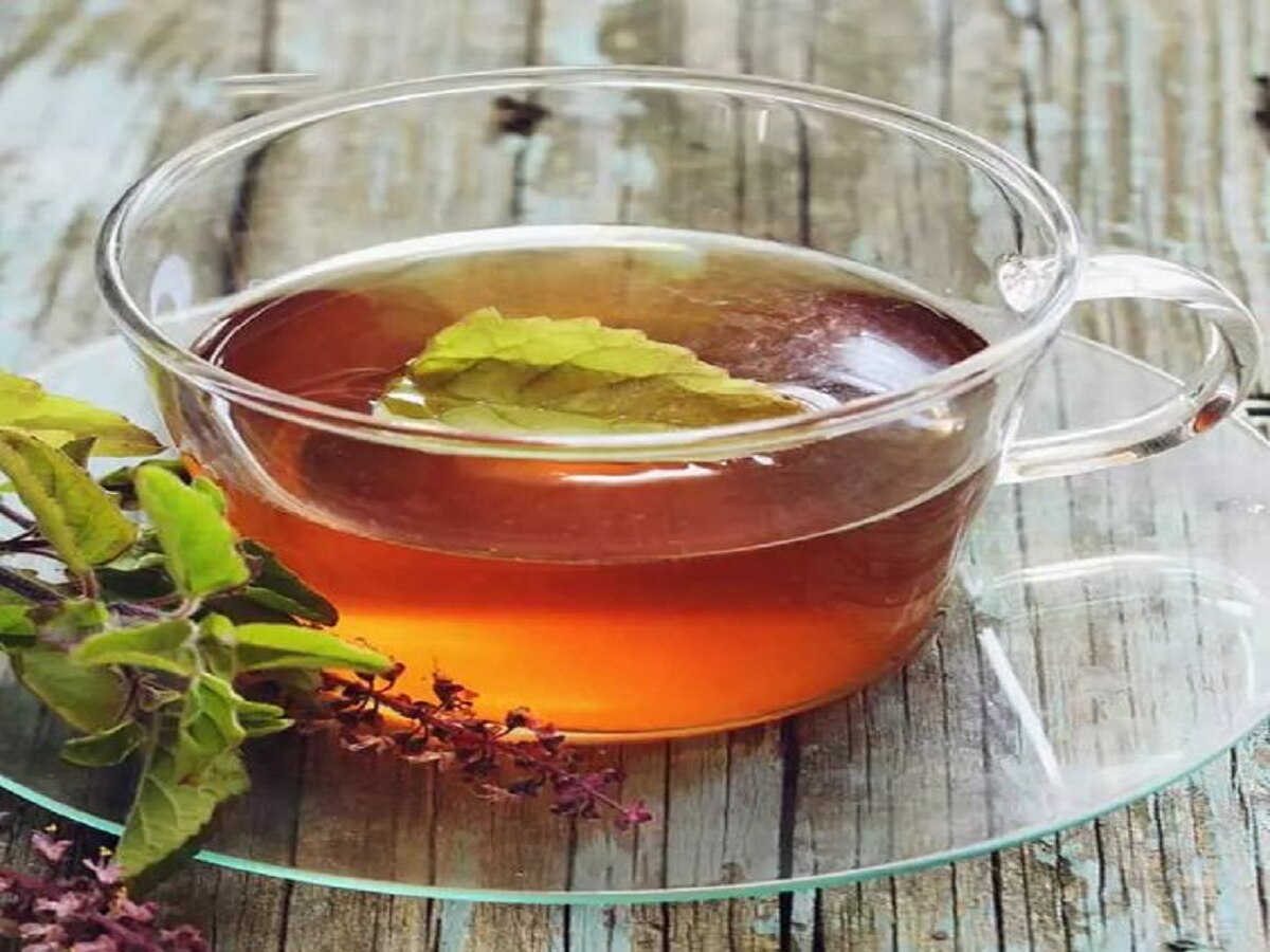 Tulsi Chai Recipe: तुलसी की चाय से मिलेगा कई बीमारियों से छुटकारा, जानिए बनाने की विधि
