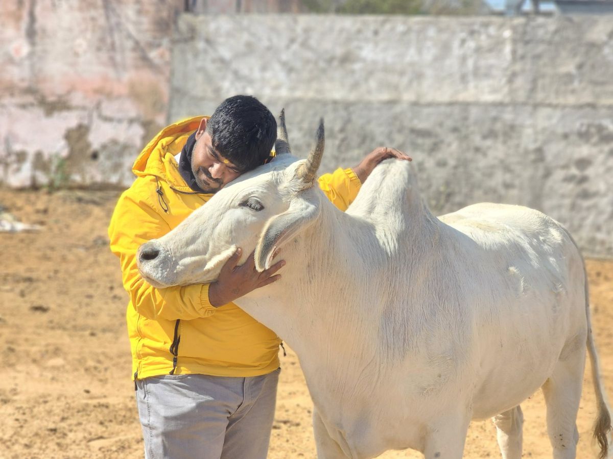 &#039;सबको मोनू बनना पड़ेगा&#039; 6 महीने पहले महापंचायत में लगे थे नारे, अब नूंह में हो गया बड़ा दंगा