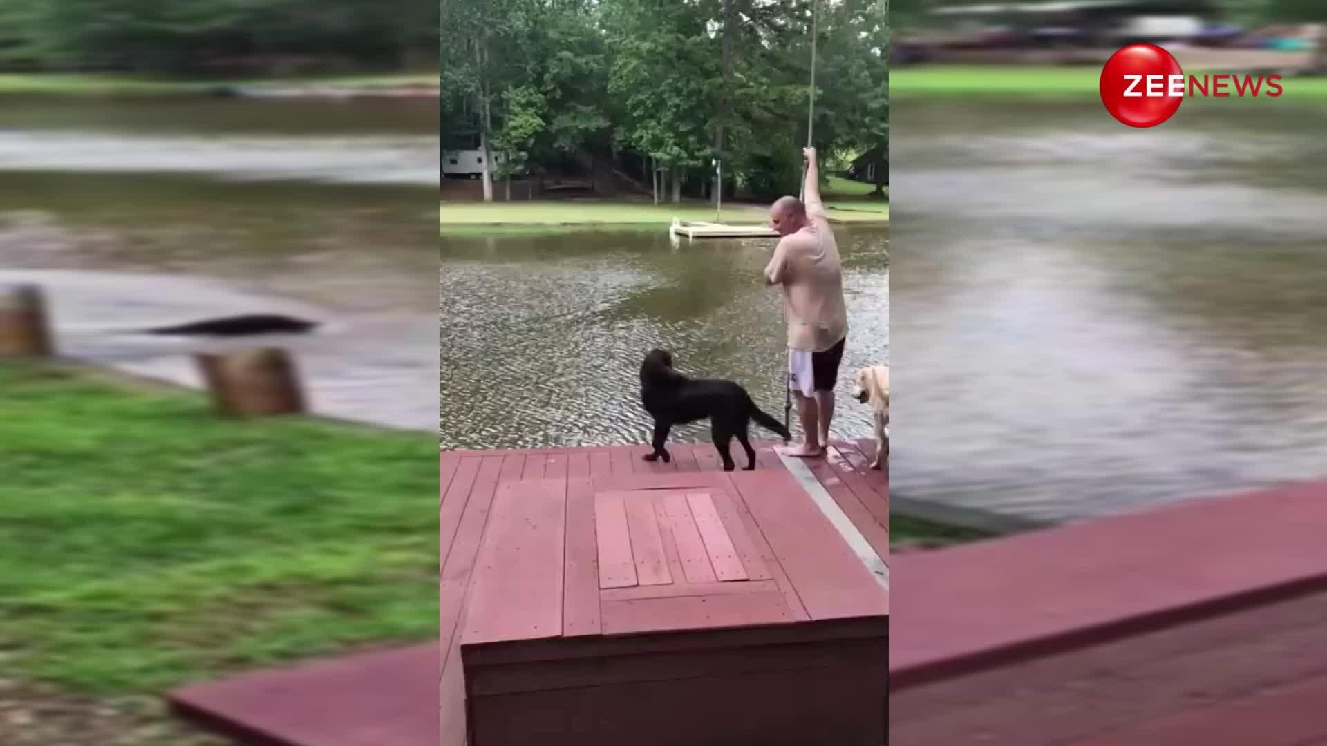 dog jumps into water to save owner video viral | Video Viral:मालिक को ...