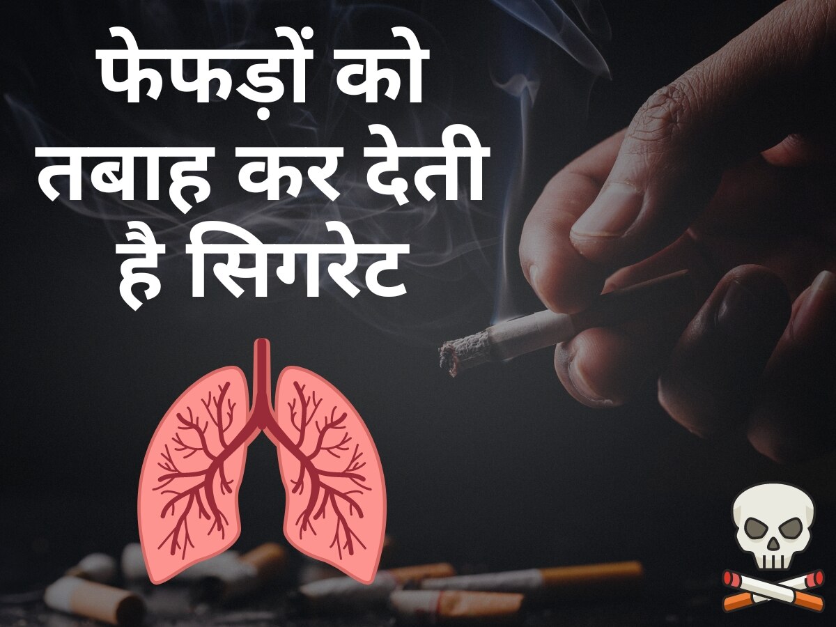 Lungs Health: फेफड़ों को बर्बाद करने के पीछे सिगरेट का सबसे बड़ा हाथ, धूम्रपान करते हैं तो जरूर करवाएं ये टेस्ट