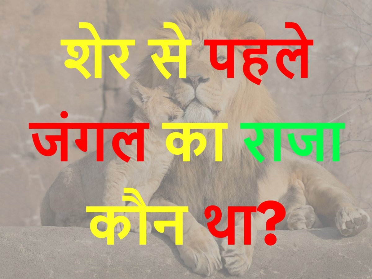 Quiz: शेर से पहले जंगल का राजा कौन था?