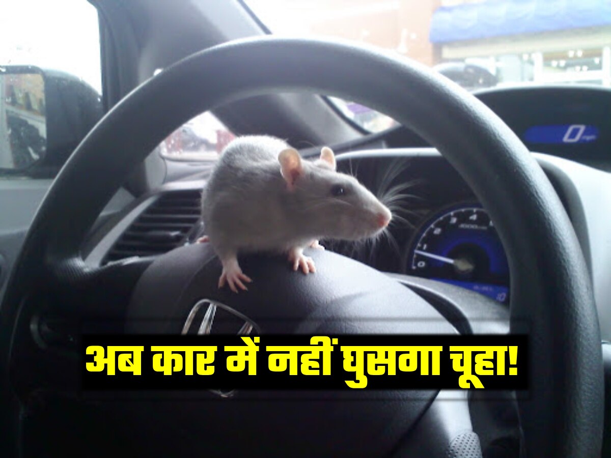 Car Gyan: एक चूहा बस 2 सेकंड में 'बरबाद' कर सकता है पूरी कार! लाखों का नुकसान नहीं कराना तो अपनाएं ये फ्री के जुगाड़