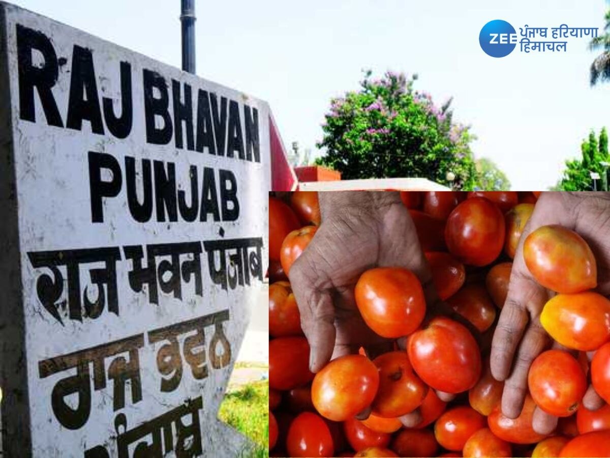 Raj Bhavan Punjab News: ਪੰਜਾਬ ਰਾਜ ਭਵਨ 'ਚ ਬਣਦੇ ਖਾਣੇ 'ਚ ਹੁਣ ਇਸਤੇਮਾਲ ਨਹੀਂ ਹੋਵੇਗਾ ਟਮਾਟਰ