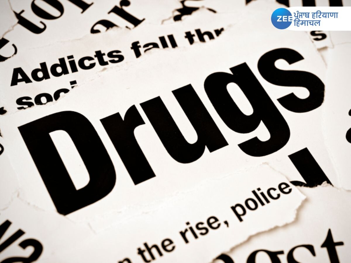 Punjab Drug Report 2023: ਪੰਜਾਬ 'ਚ 20 ਫ਼ੀਸਦੀ ਲੋਕ ਕਰ ਰਹੇ ਨਸ਼ਾ, ਰਿਪੋਰਟ 'ਚ ਹੋਇਆ ਵੱਡਾ ਖੁਲਾਸਾ 