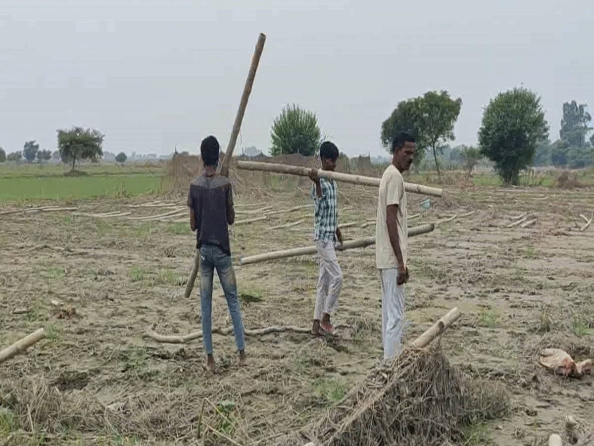 Delhi Flood: बाढ़ के बाद किसानों की बिगड़ी अर्थव्यवस्था, मायूस किसान सरकार से लगा रहे हैं मुआवजे की उम्मीद