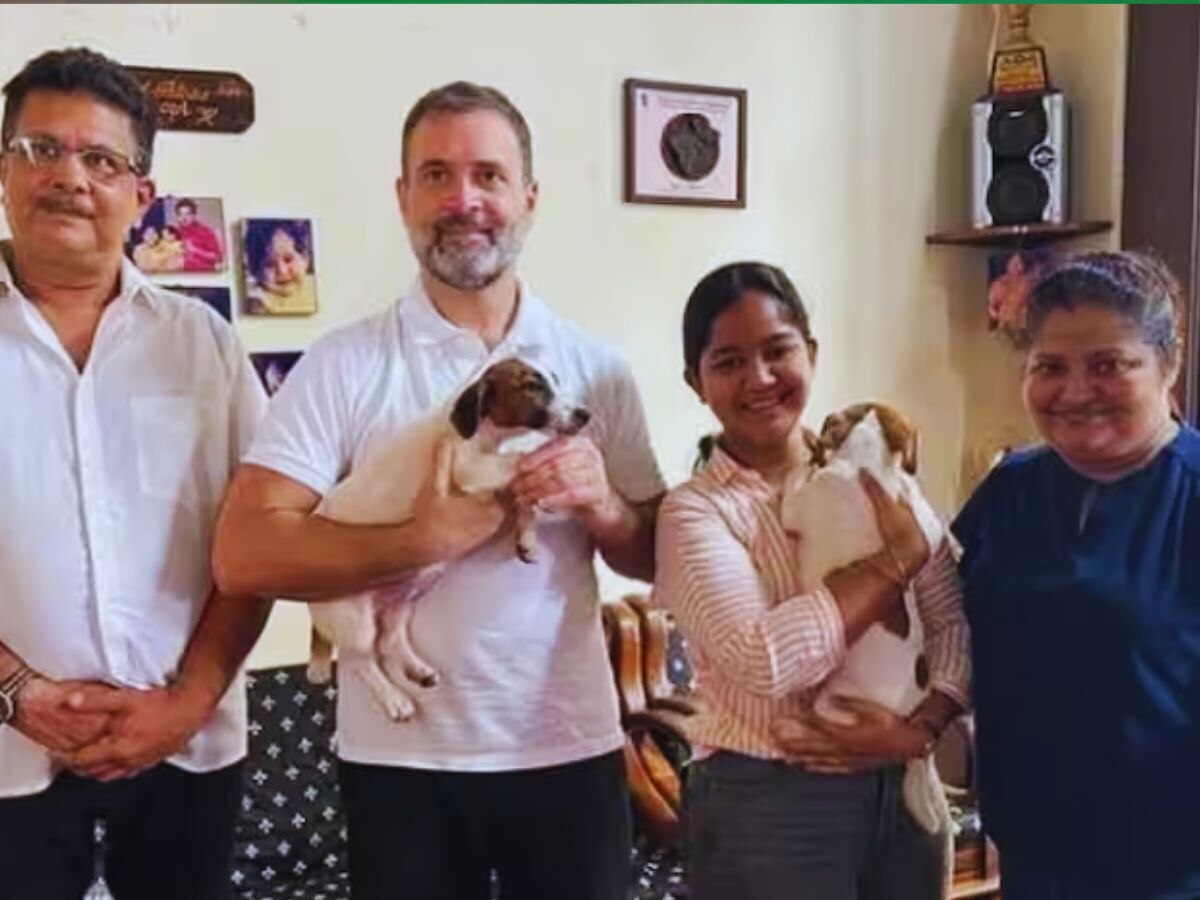 Rahul Gandhi Viral Pic with Puppies