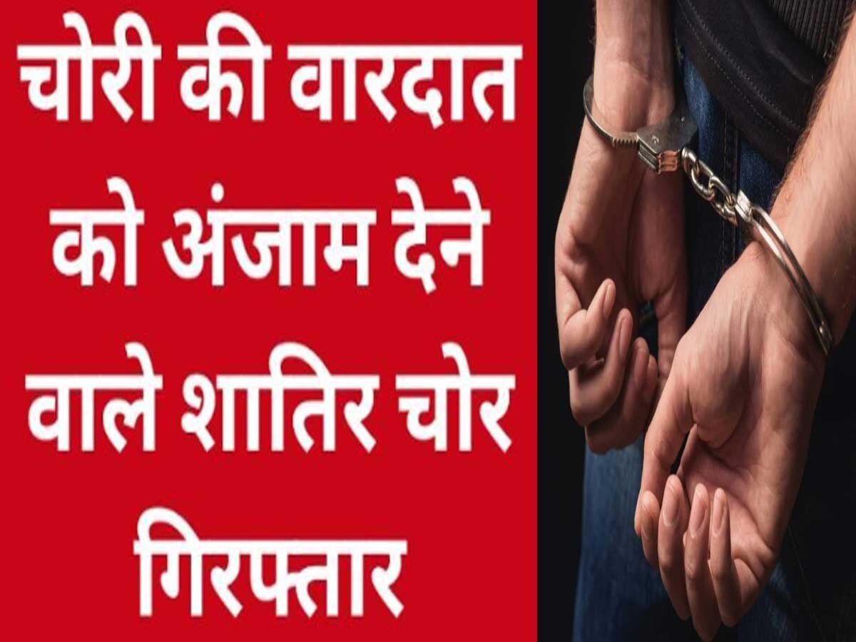 Udaipur Crime: सूने मकानों-दुकानों को बनाता था निशाना, तीन जिलों में 26 चोरी की वारदातें, आरोपी गिरफ्तार