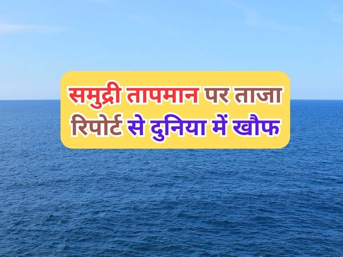 Ocean Temperature: डूबने वाली है पूरी दुनिया! समुद्री तापमान पर ताजा रिपोर्ट ने वैज्ञानिकों को डराया, कहा- नहीं बचेगा कोई जीव-जंतु