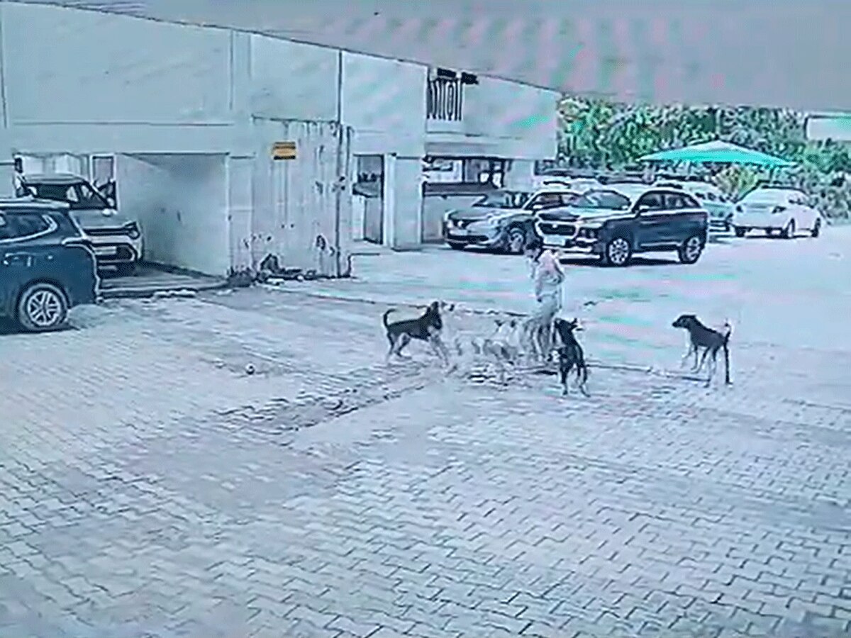 Dog Attack: गाजियाबाद में फिर दिखा कुत्तों का आतंक, डिलीवरी बॉय ने ऐसे बचाई बच्ची की जान