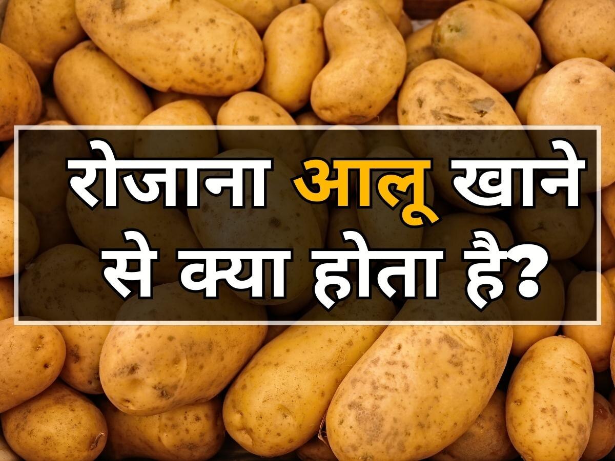 Potatoes Is Healthy Or Not: क्या आलू हेल्दी सब्जी है? जानिए रोजाना आलू खाने से क्या होगा