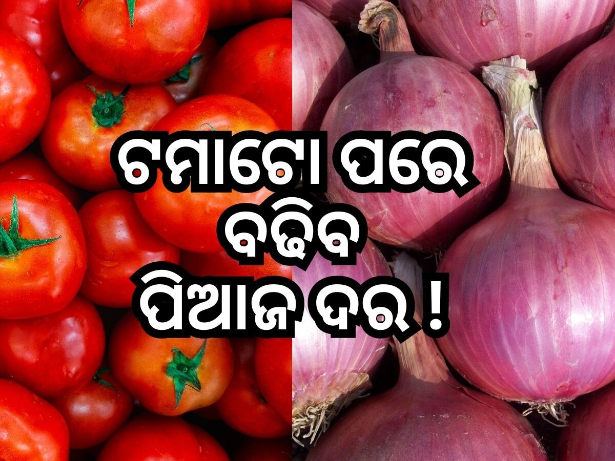 Onion Price: ଟମାଟୋ ପରେ ପିଆଜ ଦରରେ ଲାଗିବ ନିଆଁ ! ଦାମ ହେଇପାରେ ଏତିକି 