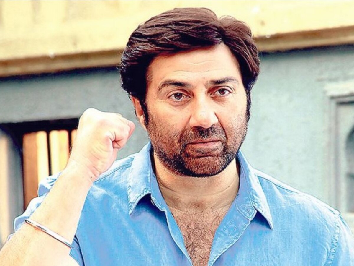 &#039;फ्रस्टेट लोग करते हैं नेपोटिज्म की बात...&#039;, नेपोटिज्म पर Sunny Deol ने कह दी बड़ी बात