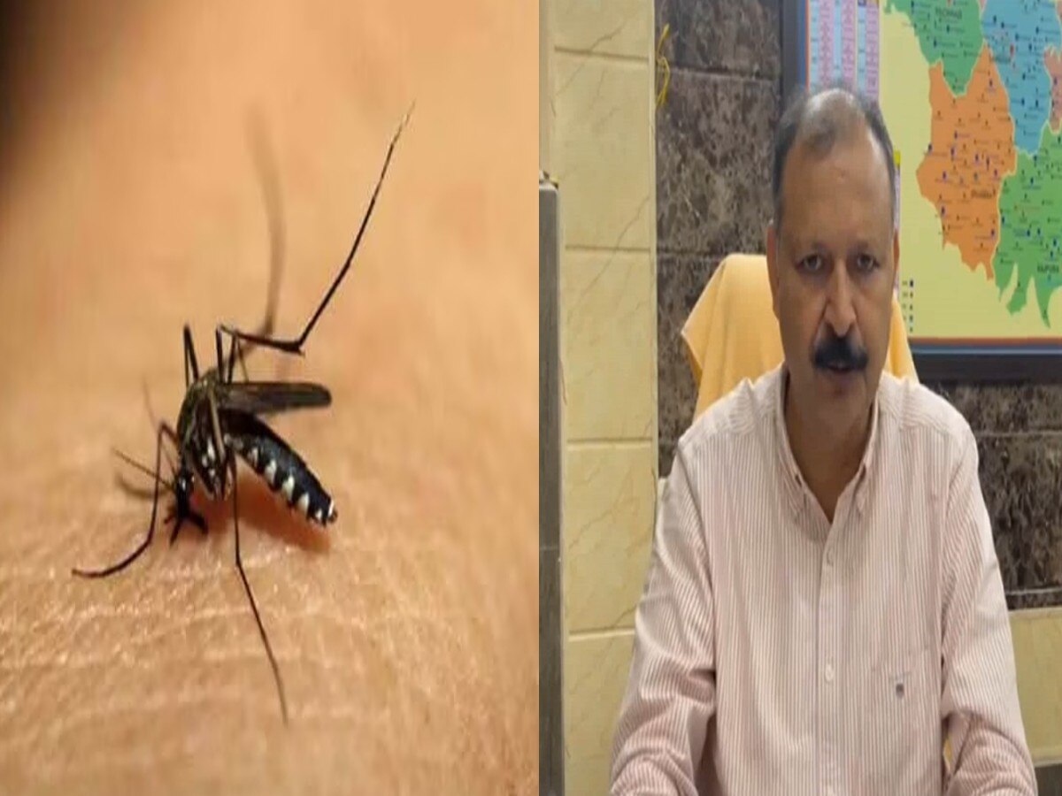 Dengue Case: सिरमौर जिला में तेजी से बढ़ रहे डेंगू के मरीज, स्वास्थ्य विभाग ने दी ये एडवाइज