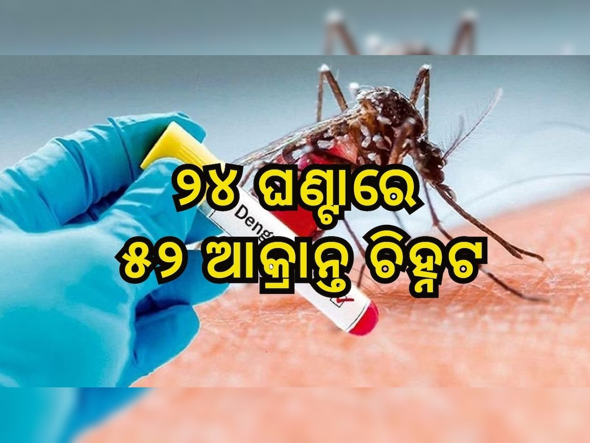 Dengue Cases: ଭୁବନେଶ୍ୱରରେ ଚିନ୍ତା ବଢ଼ାଇଛି ଡେଙ୍ଗୁ, ୨୪ ଘଣ୍ଟାରେ ୫୨ ଆକ୍ରାନ୍ତ ଚିହ୍ନଟ