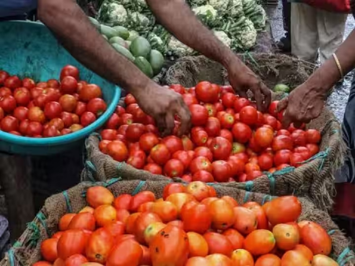 Tomato Theft: हाय रे टमाटर! दुकानों का ताला तोड़ टमाटर और अदरक ले उड़े चोर, तलाश में पुलिस