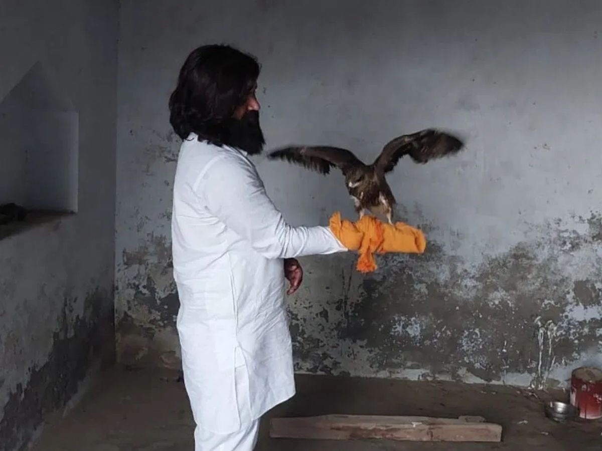 Arif And Eagle Friendship