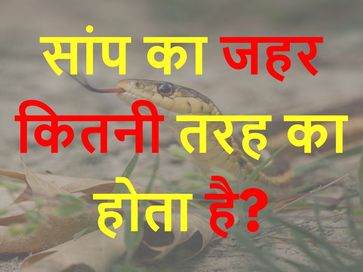 Quiz: सांप का जहर कितनी तरह का होता है?